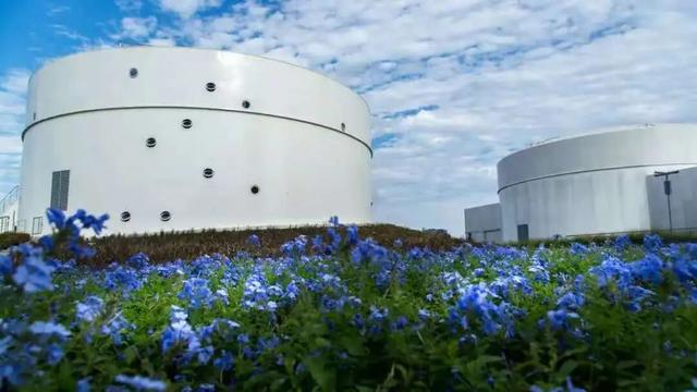 探徐汇｜全线“地铁”自助！5天游上海，徐汇玩“出圈”