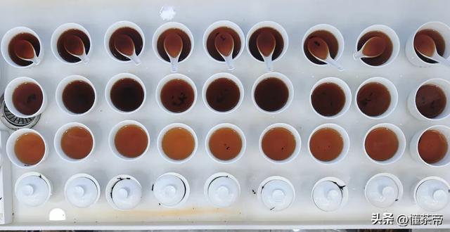 史上最全普洱茶盖碗冲泡测评!不同普洱茶怎么泡最好喝?