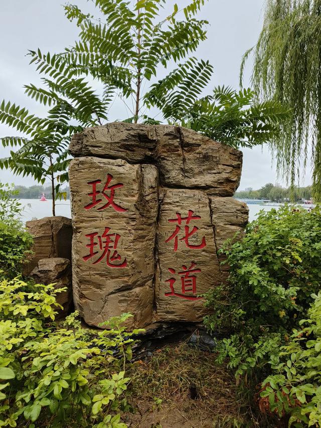 天津小雨中的《水上公园》