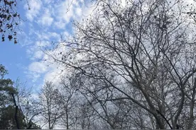刚刚确认！影响上城、拱墅、滨江、西湖！后天起狂飙，最猛在这天......图片