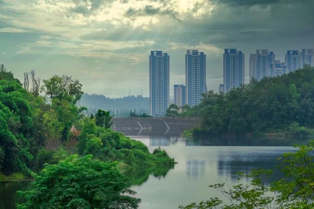 成都6个秋日能待一整天的免费公园推荐！