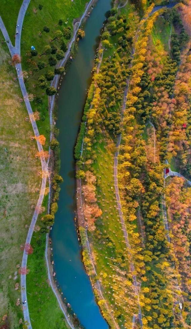 光谷8条私藏跑步路线，资深跑友力荐，每条都有独特魅力