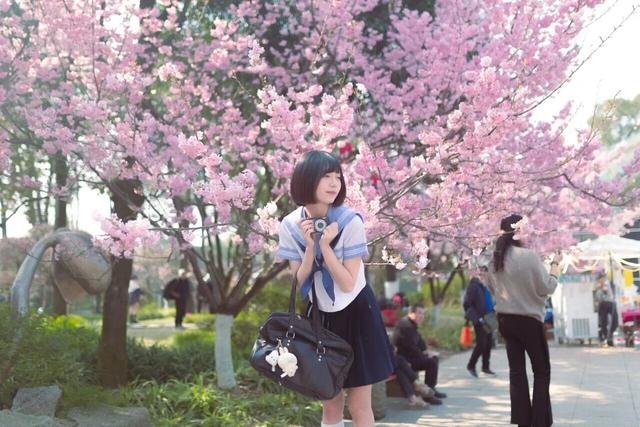 开了！重庆第一波樱花就在南岸区南山植物园！