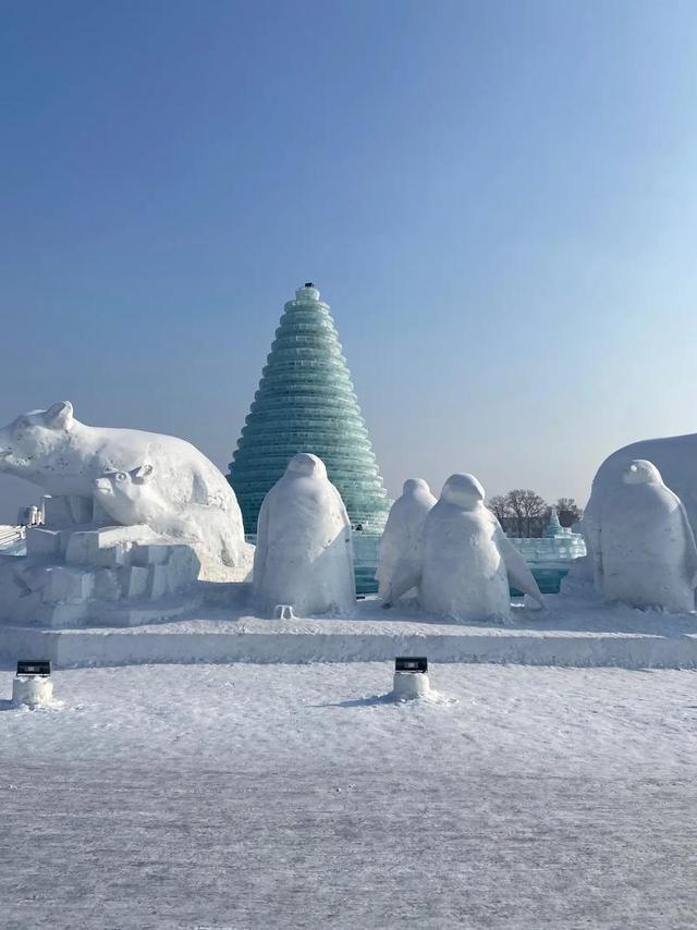 新黑马诞生！一放寒假就上东北，南方人为啥都扎堆去吉林过冬？