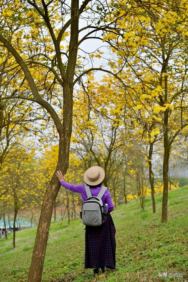 【跟着旅徒游广西】之四十:南宁|青秀山公园