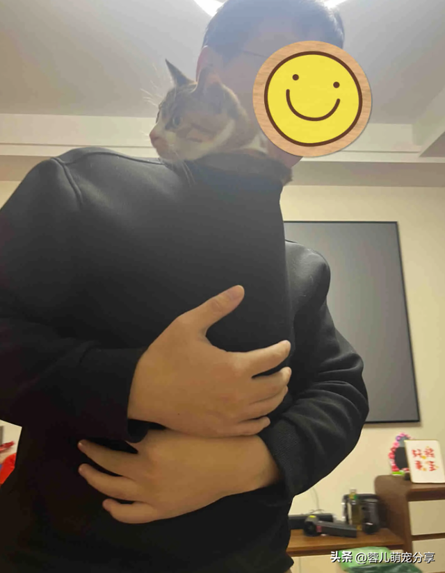男子吐槽老婆是为了猫才和他结婚的，本来不信，结果哈哈笑喷了！