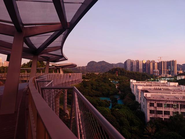 西丽湖国际科教城绿道，看霞飞满天，如梦似幻！长岭陂地铁C口