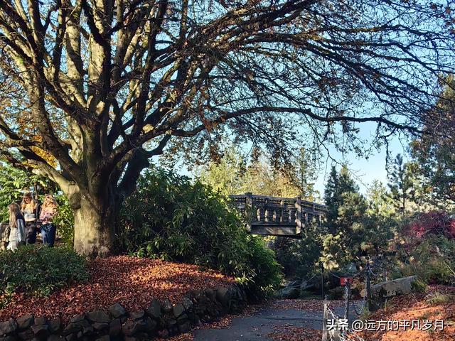 温哥华游记（六）