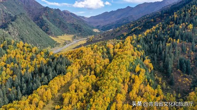 今日秋分丨秋色平分 缱绻闲云