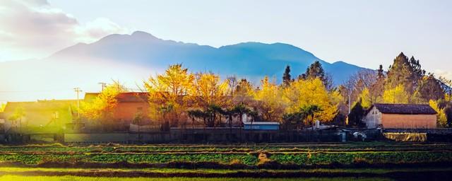 云南秋景疯玩指南！红叶、银杏，3条民族风路线承包你的绝美秋景