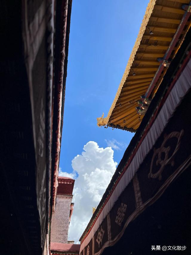我们为什么去旅行