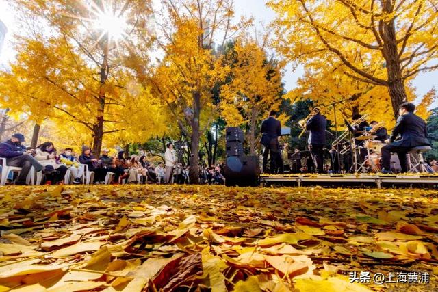 市中心的“金色会客厅”，成为了最欢乐的海洋！