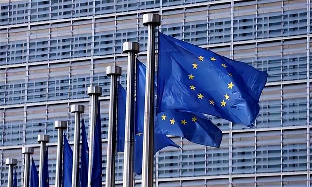 493票赞成127票反对！欧盟最新投票结果公布，德国开始下令