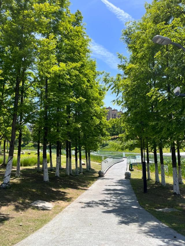 南京最“冷门”的公园,耗资23亿打造却不为所知,地铁公交直达!