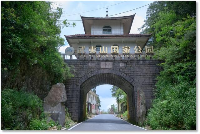 香港学子集结江西武夷山！一场跨越山海的生态科考之旅正式启程！