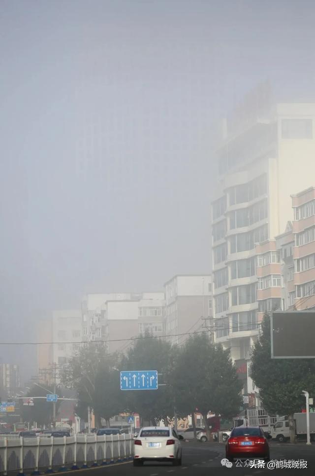 美翻了!今早的鹤城宛如仙境!