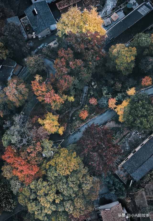 又一5A景区官宣永久免费！年入数亿，关键是秋天美到词穷！