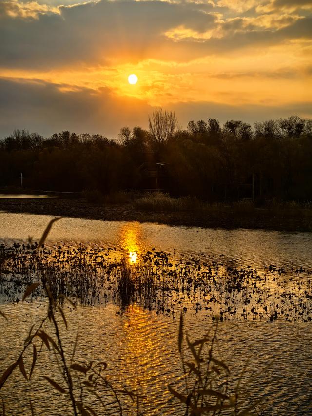朝看芦苇夕望鸟：爱了！鸢都湖一天最美的两个时刻