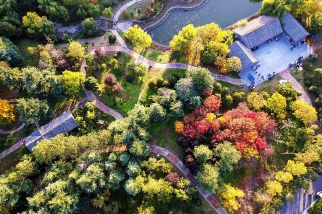 此刻，随手拍洛阳，美景如画！