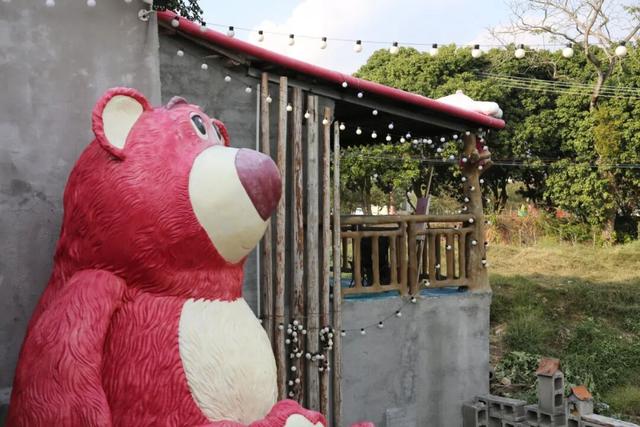 格桑花、紫花风铃木、雪白油茶花……肇庆这里太美了！