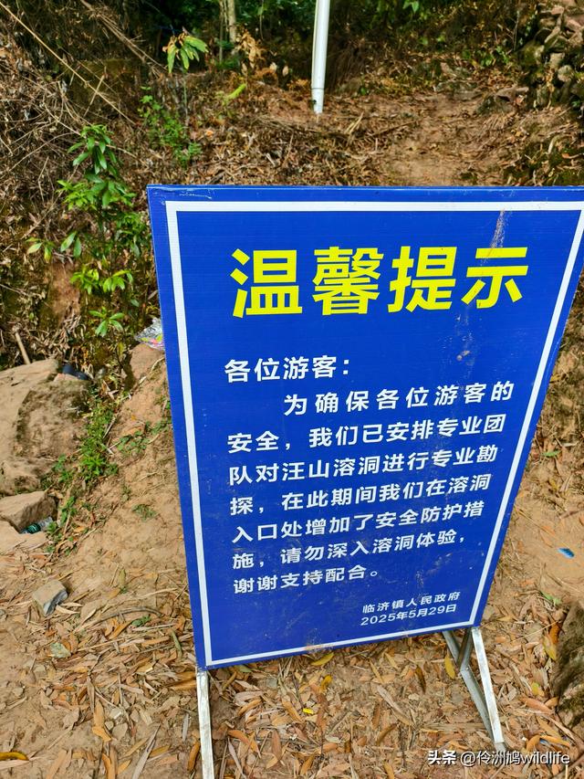 成都徒步（66）·邛崃篇⑥皮缝峡谷·皮缝古道