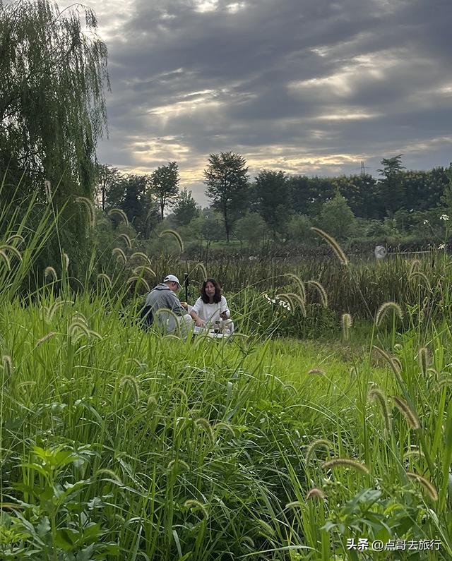 成都最近的原野公园，超级惊艳，一个湖风景就是王者，公交直达！