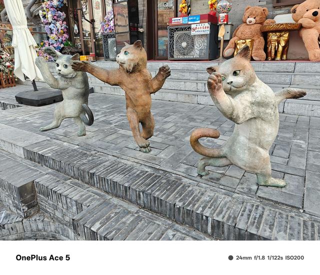 一加Ace 5全面评测 送给电竞玩家的年末礼物