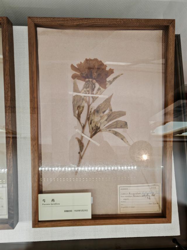 周末遛娃好去处