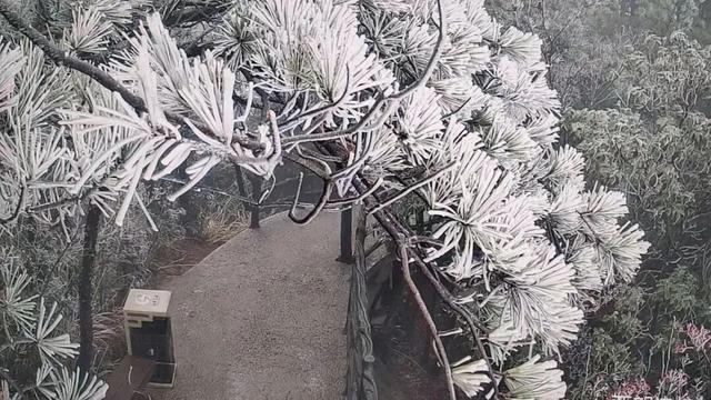大寒雪落灵山！冬日限定美景已陆续上线