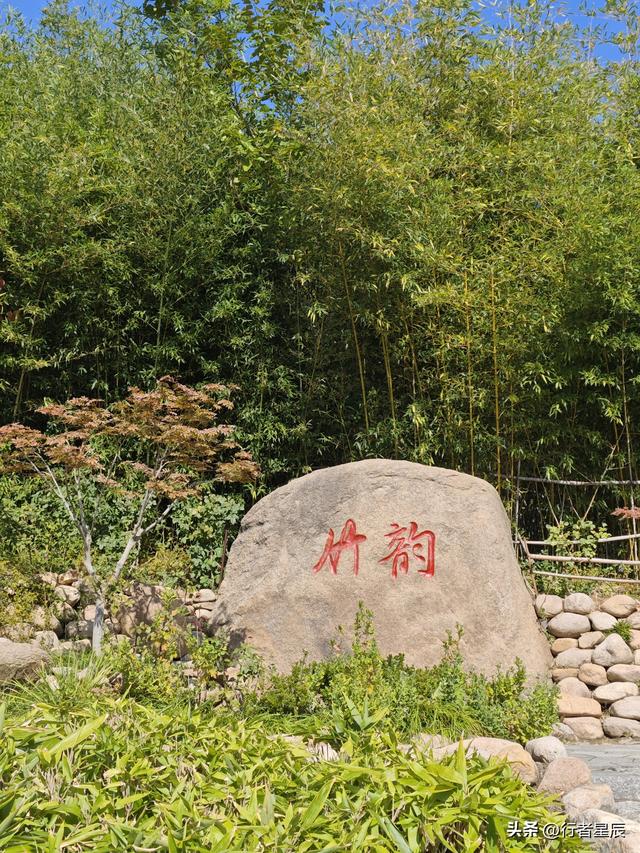 竹子庵公园有啥看头？