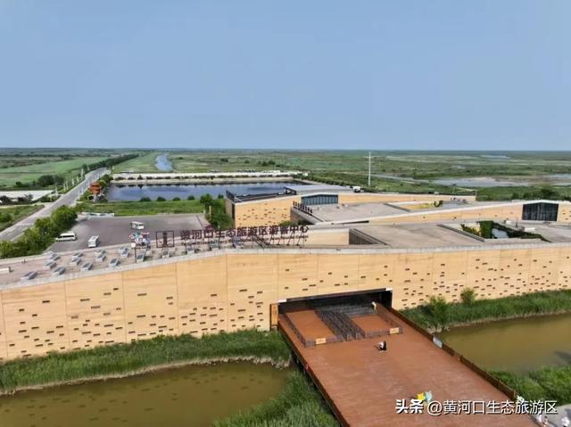 【黄河口生态旅游区】今日入伏 出游温馨提示