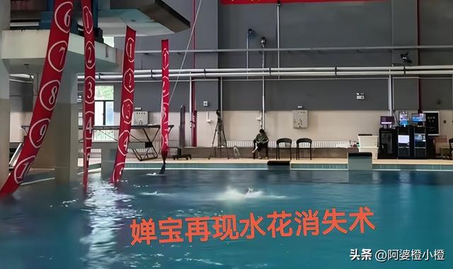 人民日报采访这次，郭晶晶只字未提全红婵，却给全红婵提了个醒