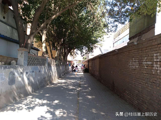 宁夏人文：银川红花渠传奇3，一寺一渠一红花-高台寺迷踪