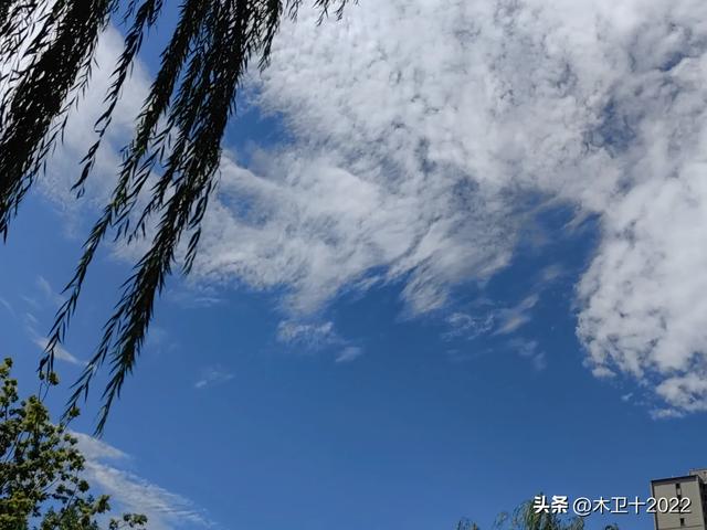 预想中的citywalk被一辆公交车阻断,之后