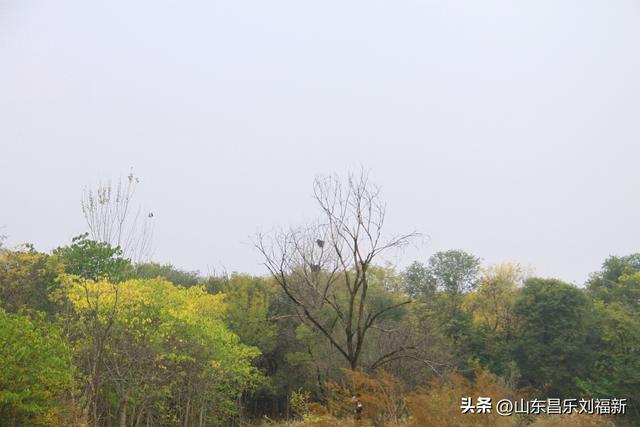 小丹河(老坝河水库西段)立冬那天的风光