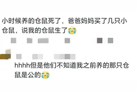 网友家长整活破局，笑翻众人！那些让网友哭笑不得的骚操作图片