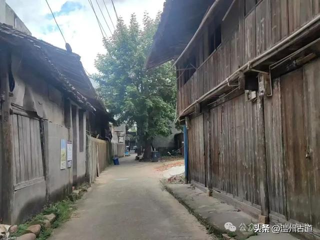 这里曾有最古老的水运历史、最繁华的商埠老街和新石器时代遗址！