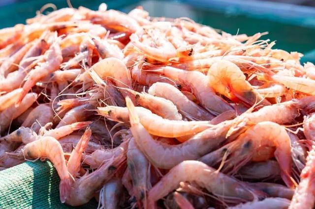 打卡限时浪漫，一键收藏隐珠街道最美秋色！