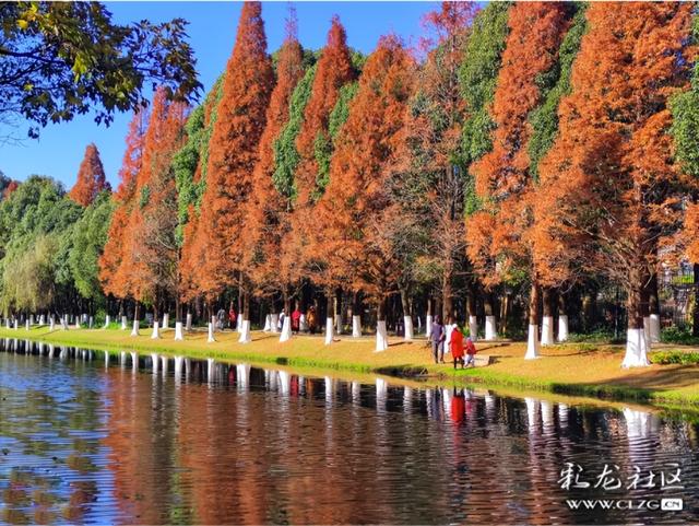 采莲河畔好风光