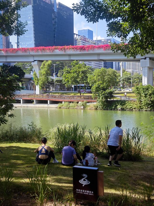 从学苑大道入大沙河绿过大学城后进深圳弯公园流花山景点【高清】