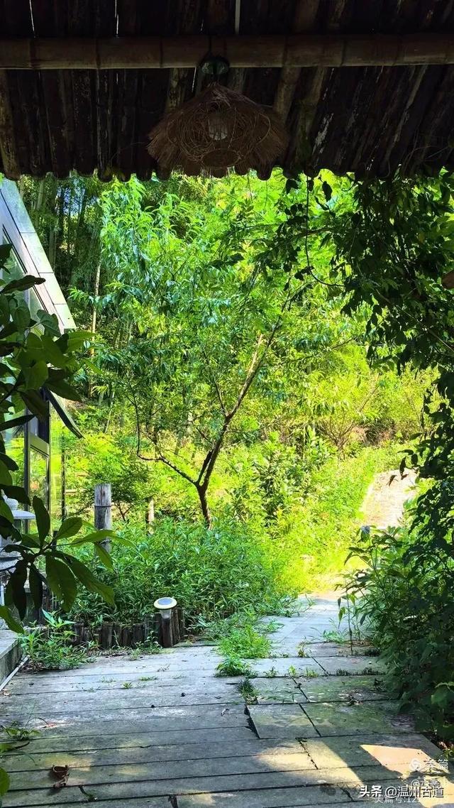 灵脉四合，飘渺仙境！浙江这座隋代古刹灵泉寺你可曾听闻过？