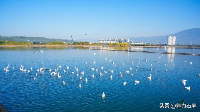 旅居吧！在石屏阳光灿烂的冬日里