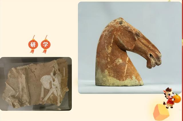 活动预告‖白银市博物馆 2026年元旦、春节系列文化活动