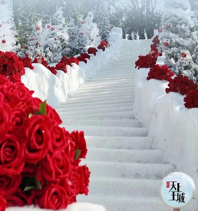 马上来“临” “沂”起过年｜爬一座沂蒙的山