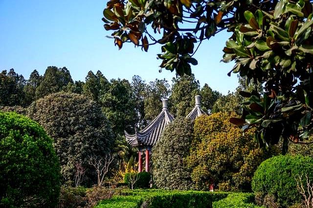 河南大反转！开封杀出重围	，郑州洛阳都没想到，焦点为啥是它！