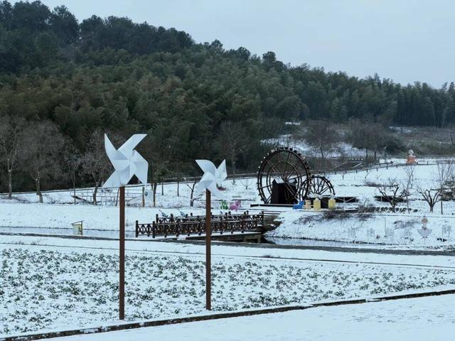 雪҈ 雪҈ 雪҈ 太美啦！快接住这“泼天”的雪白浪漫！