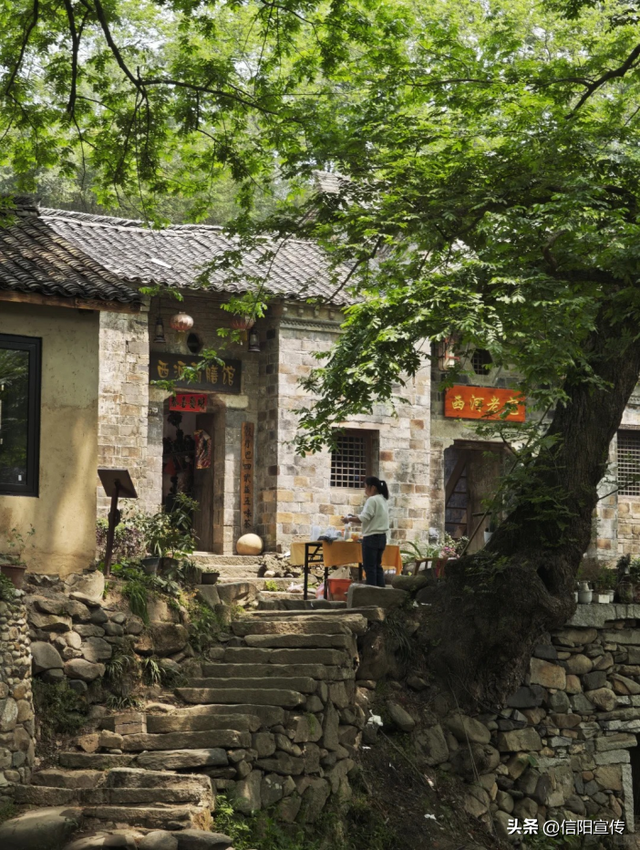 秋色正斑斓！信阳赏秋打卡地推荐