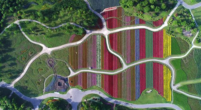 沪上这9条秋游线路，带你走进申城最美的秋景~