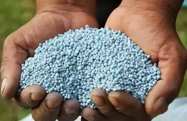 为什么现在癌症高发？看看这7种蔬菜，你家里常吃吗？赶紧扔掉！