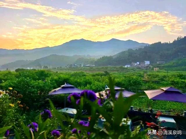 半坡寻幽，客栈栖心——秋访九福兰园